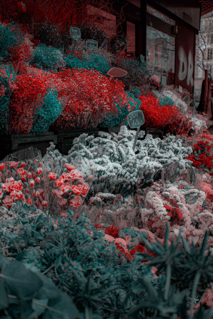 fleurs rouges et blanche sur la terrasse d'un fleuriste